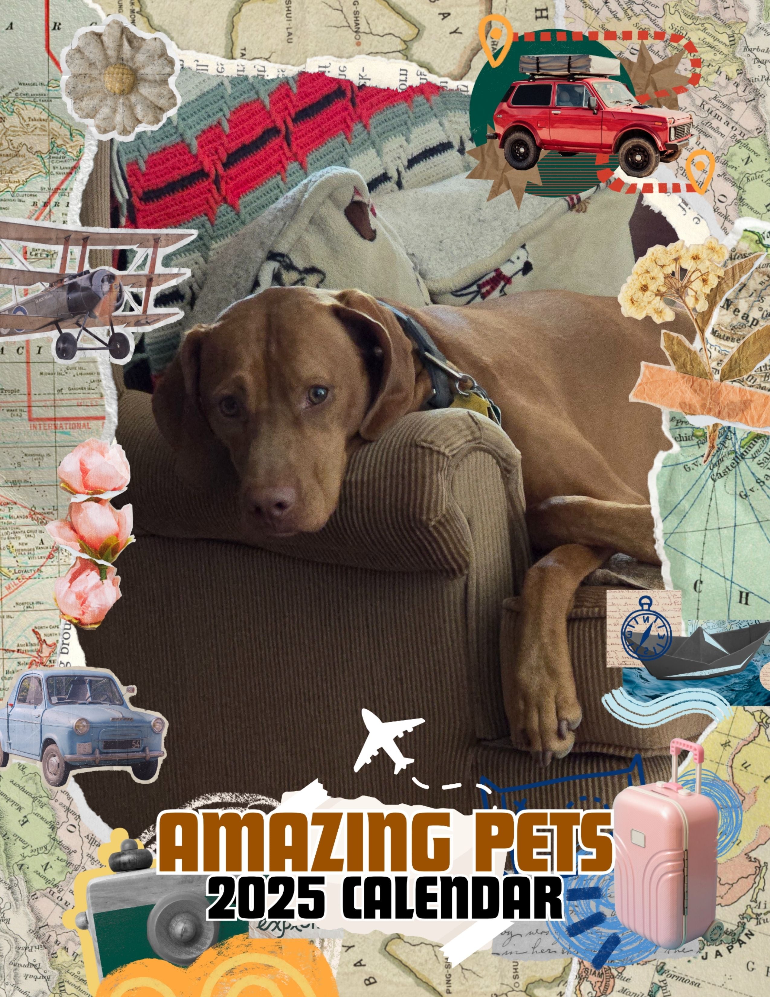Amazing Pets: 2025 Wall Calendar (Pre-Order)