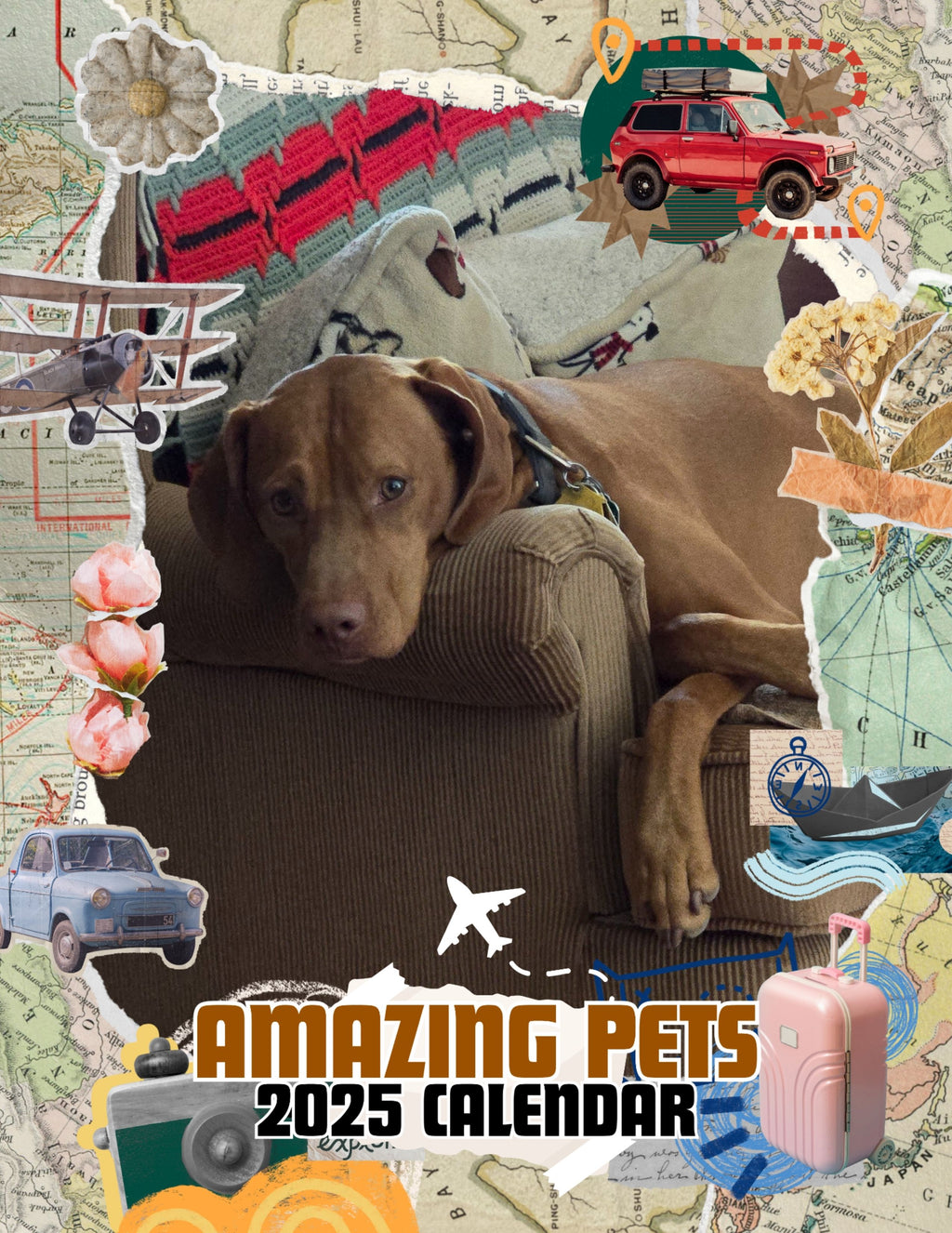 Amazing Pets: 2025 Wall Calendar (Pre-Order)