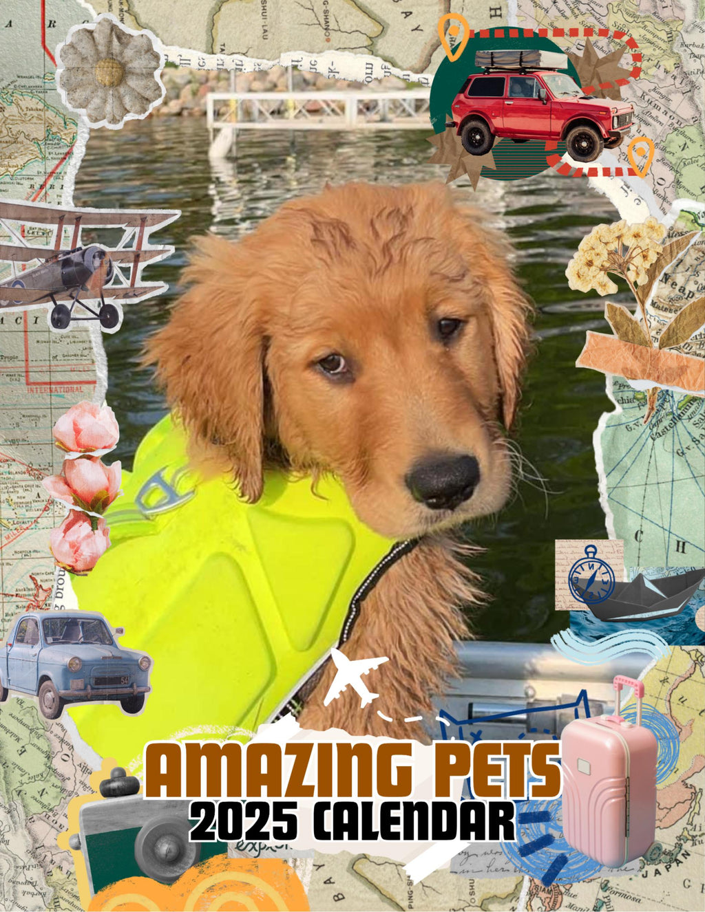 Amazing Pets: 2025 Wall Calendar (Pre-Order)