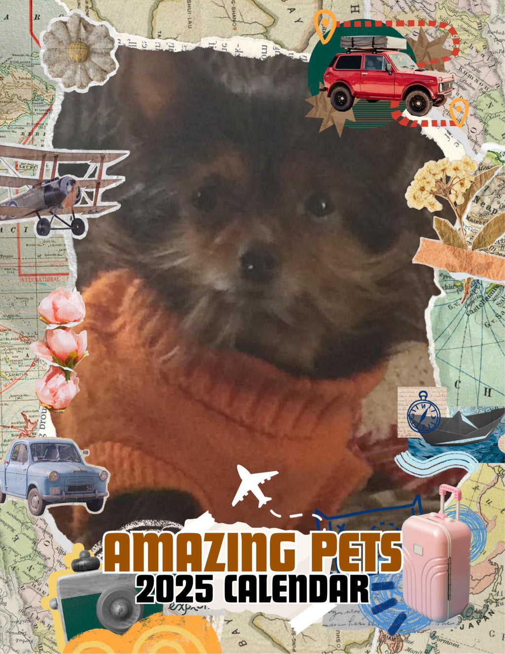 Amazing Pets: 2025 Wall Calendar (Pre-Order)