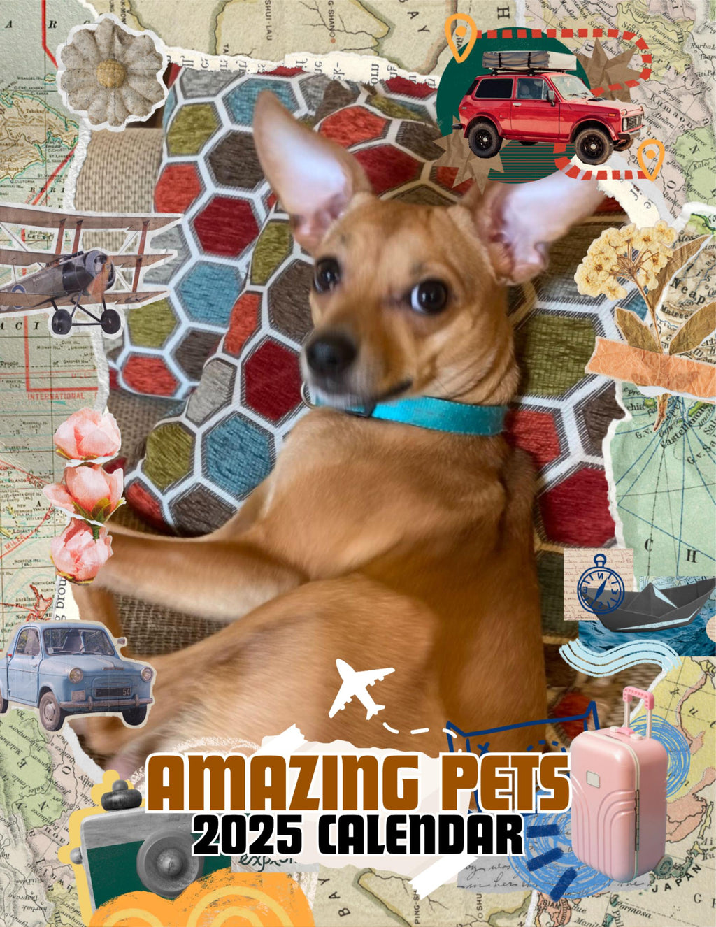 Amazing Pets: 2025 Wall Calendar (Pre-Order)