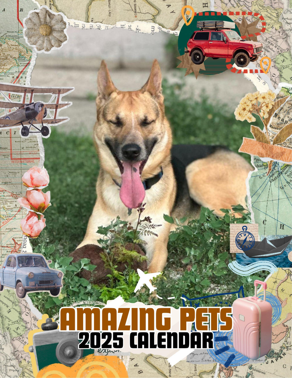 Amazing Pets: 2025 Wall Calendar (Pre-Order)
