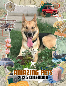 Amazing Pets: 2025 Wall Calendar (Pre-Order)