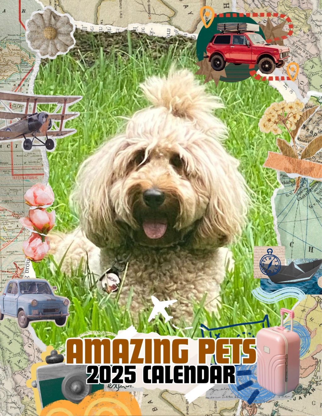 Amazing Pets: 2025 Wall Calendar (Pre-Order)
