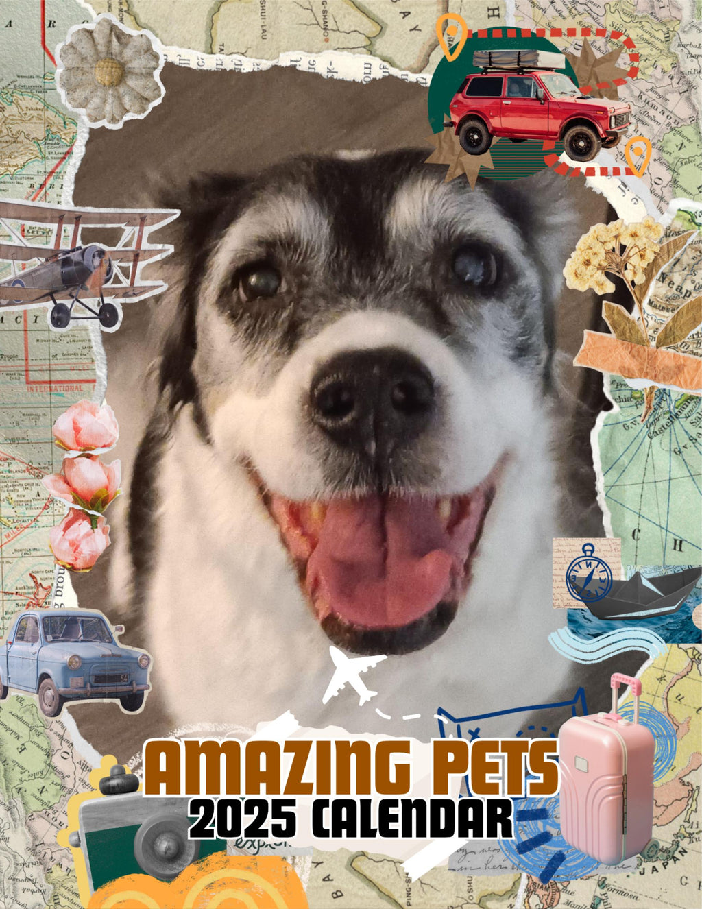 Amazing Pets: 2025 Wall Calendar (Pre-Order)
