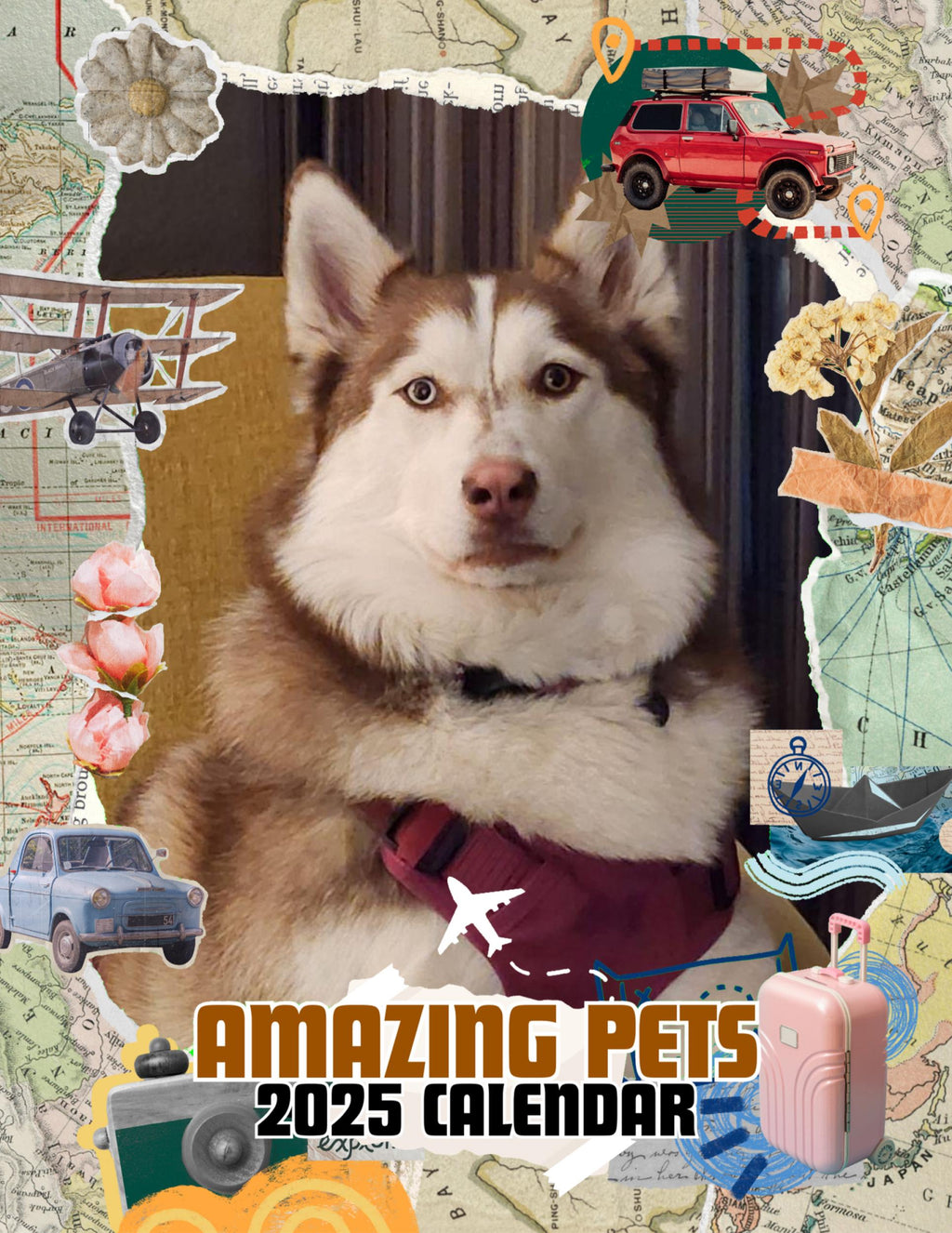 Amazing Pets: 2025 Wall Calendar (Pre-Order)