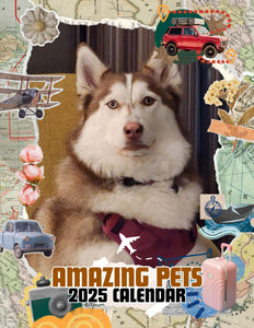 Amazing Pets: 2025 Wall Calendar (Pre-Order)