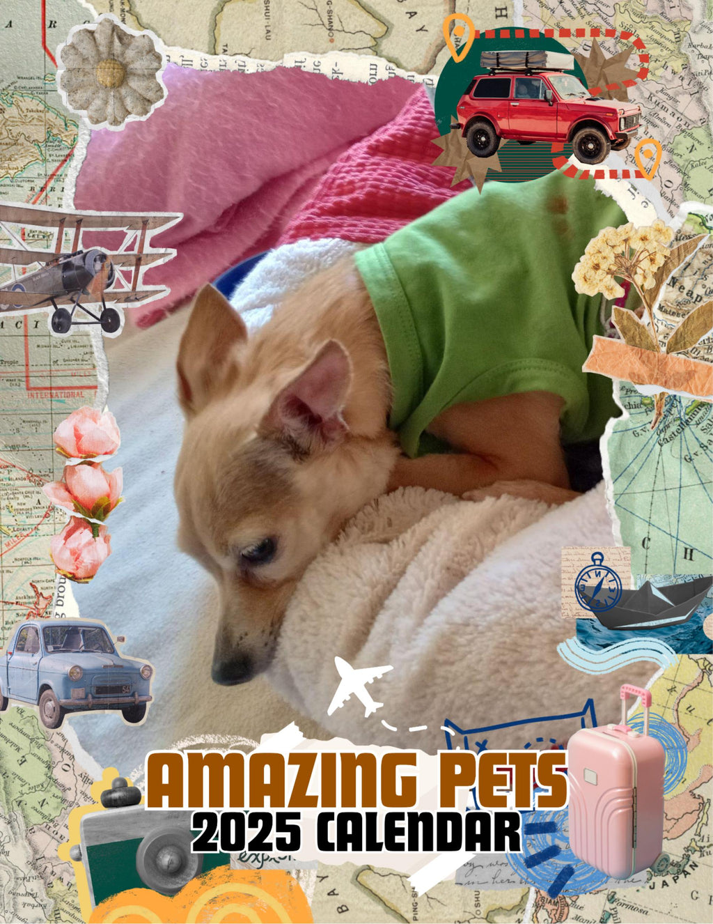 Amazing Pets: 2025 Wall Calendar (Pre-Order)