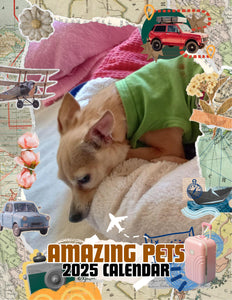 Amazing Pets: 2025 Wall Calendar (Pre-Order)