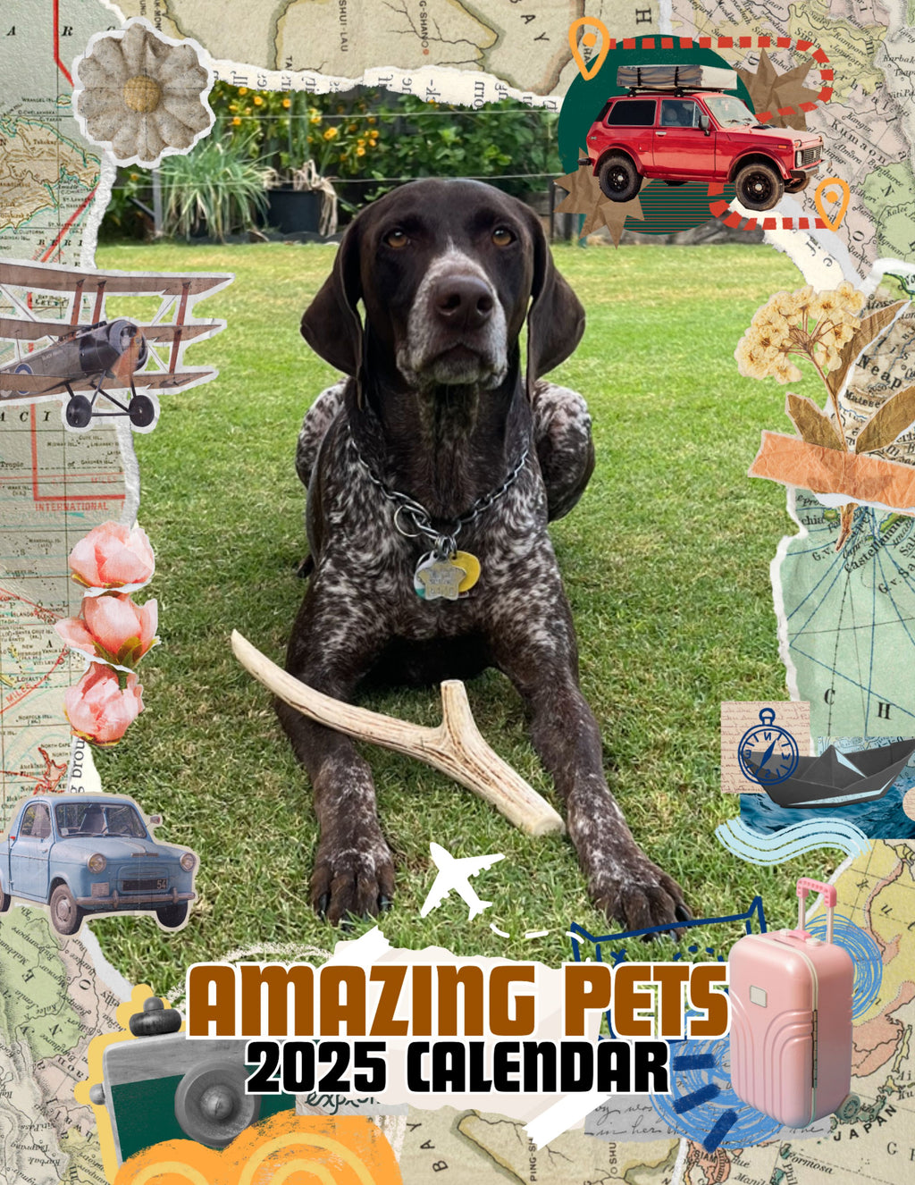 Amazing Pets: 2025 Wall Calendar (Pre-Order)