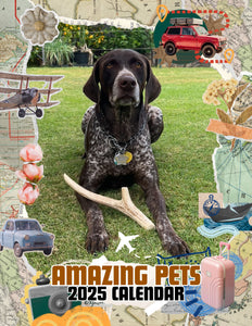 Amazing Pets: 2025 Wall Calendar (Pre-Order)