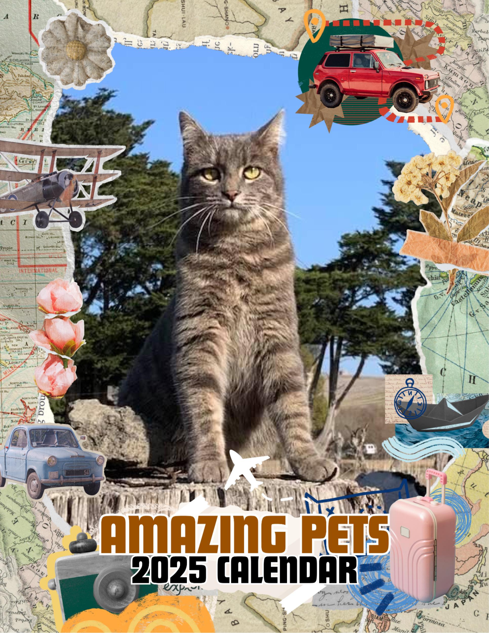 Amazing Pets: 2025 Wall Calendar (Pre-Order)