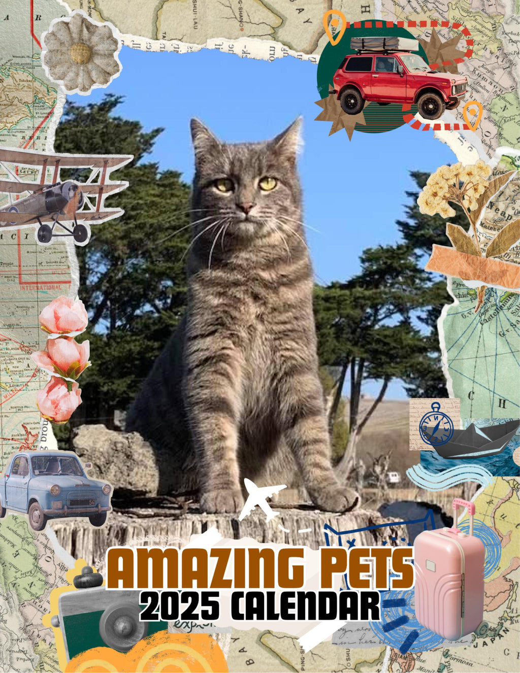 Amazing Pets: 2025 Wall Calendar (Pre-Order)