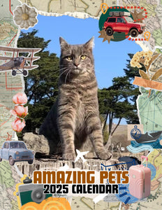 Amazing Pets: 2025 Wall Calendar (Pre-Order)