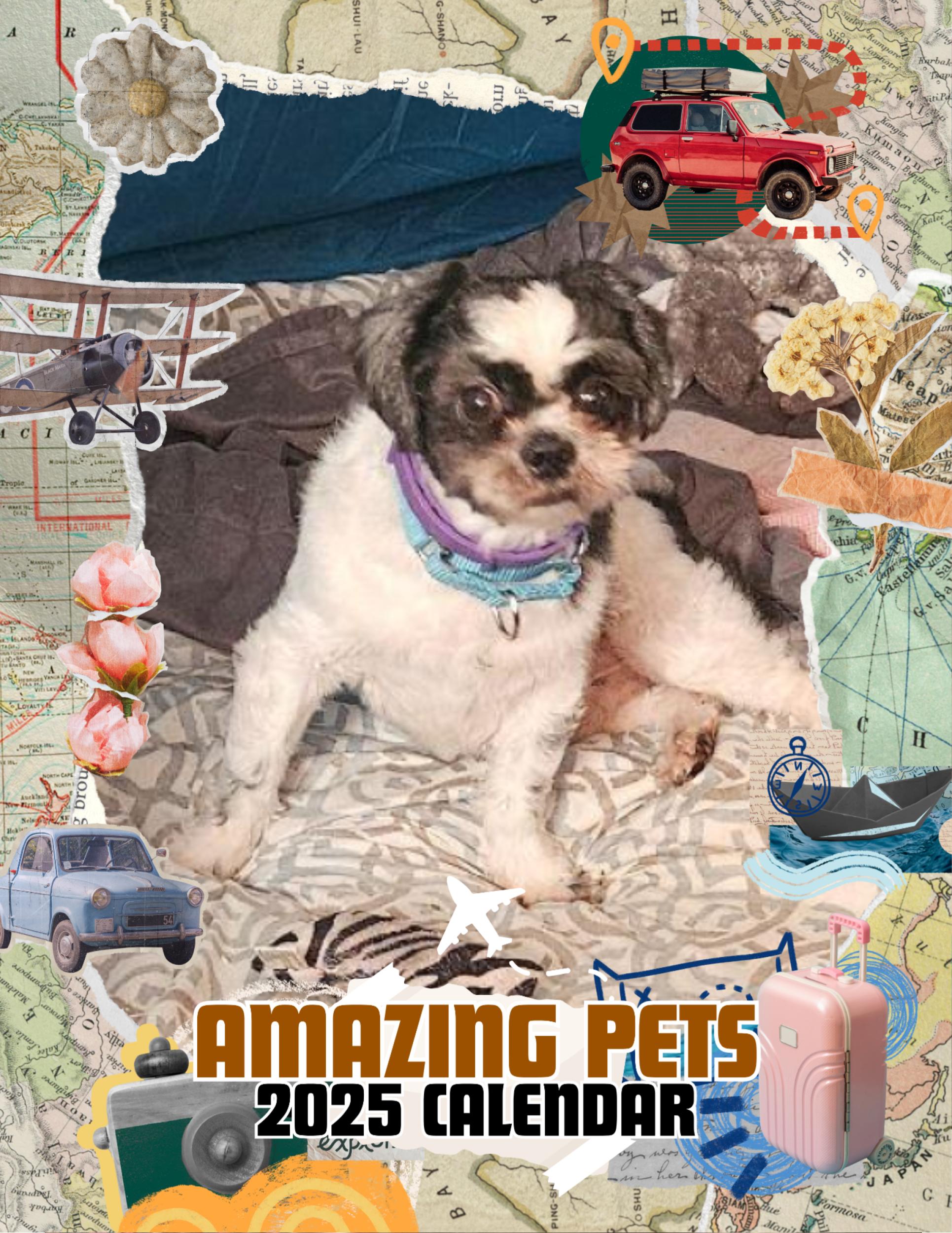 Amazing Pets: 2025 Wall Calendar (Pre-Order)