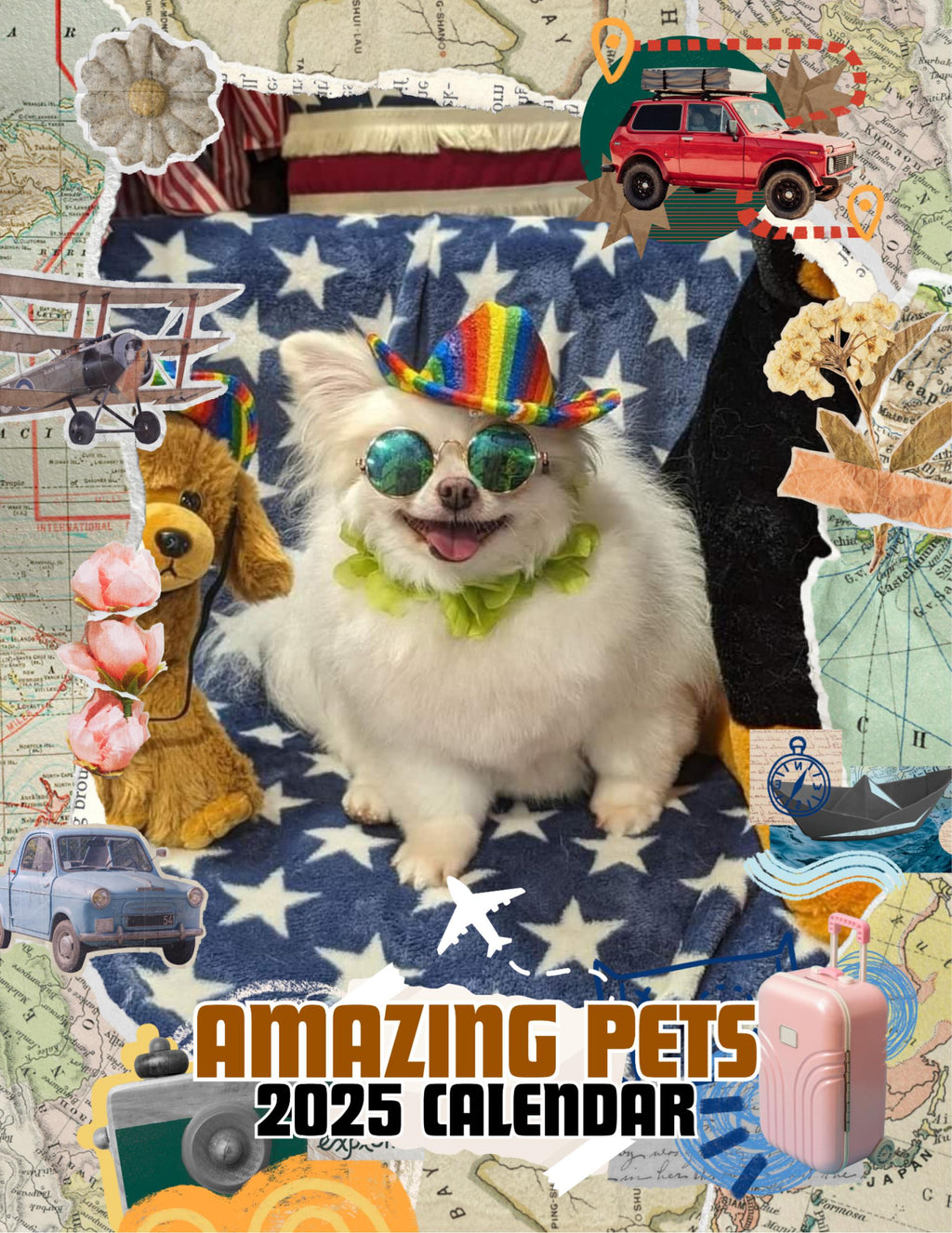 Amazing Pets: 2025 Wall Calendar (Pre-Order)