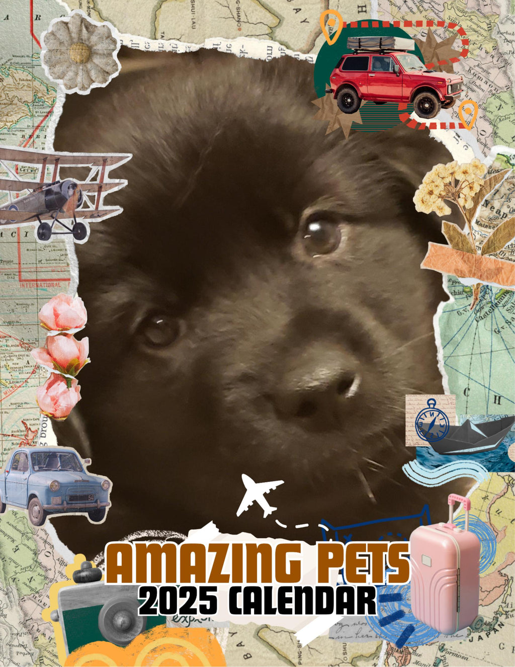 Amazing Pets: 2025 Wall Calendar (Pre-Order)