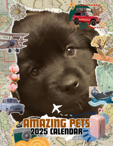 Amazing Pets: 2025 Wall Calendar (Pre-Order)