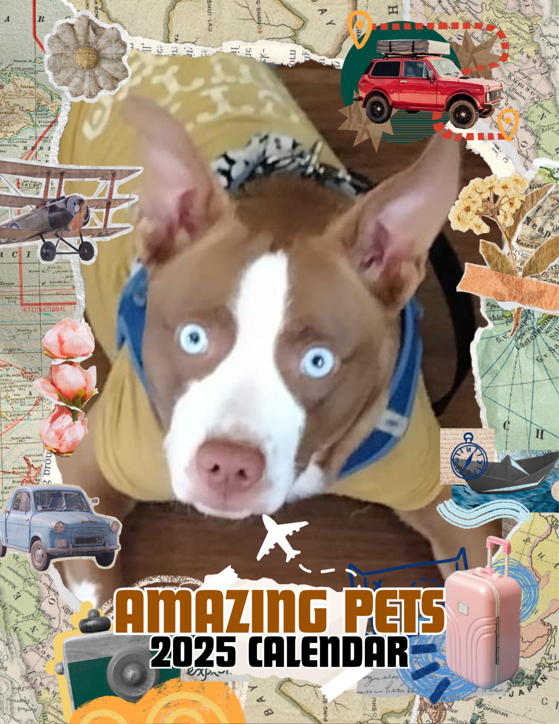 Amazing Pets: 2025 Wall Calendar (Pre-Order)