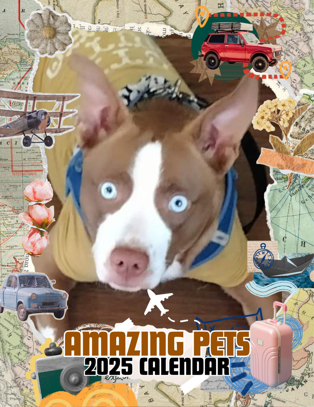 Amazing Pets: 2025 Wall Calendar (Pre-Order)