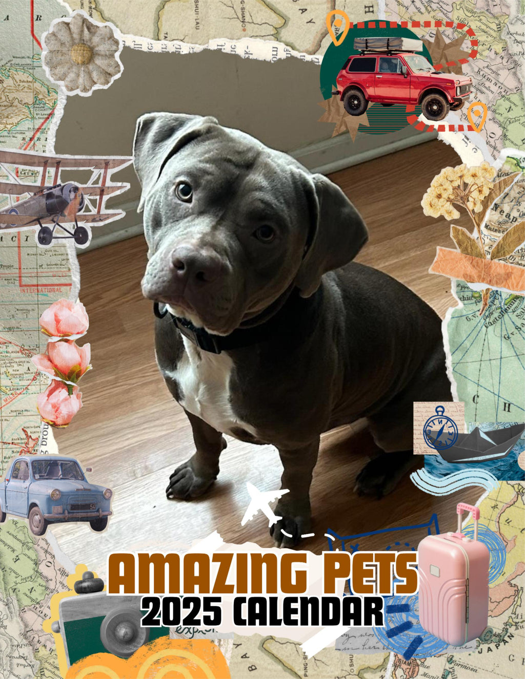 Amazing Pets: 2025 Wall Calendar (Pre-Order)