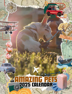 Amazing Pets: 2025 Wall Calendar (Pre-Order)