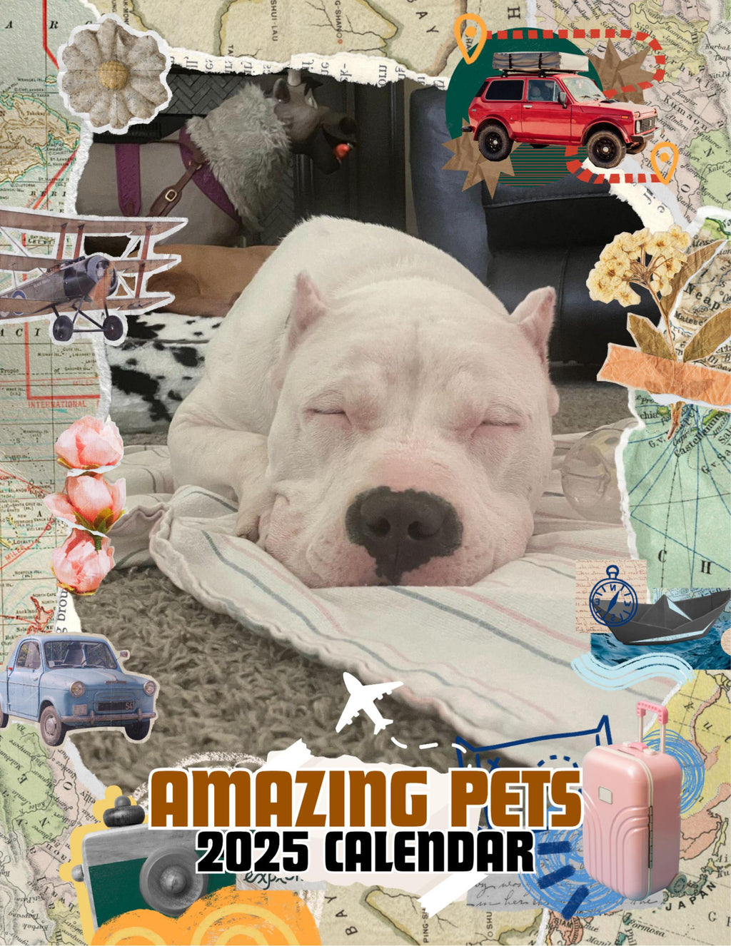 Amazing Pets: 2025 Wall Calendar (Pre-Order)