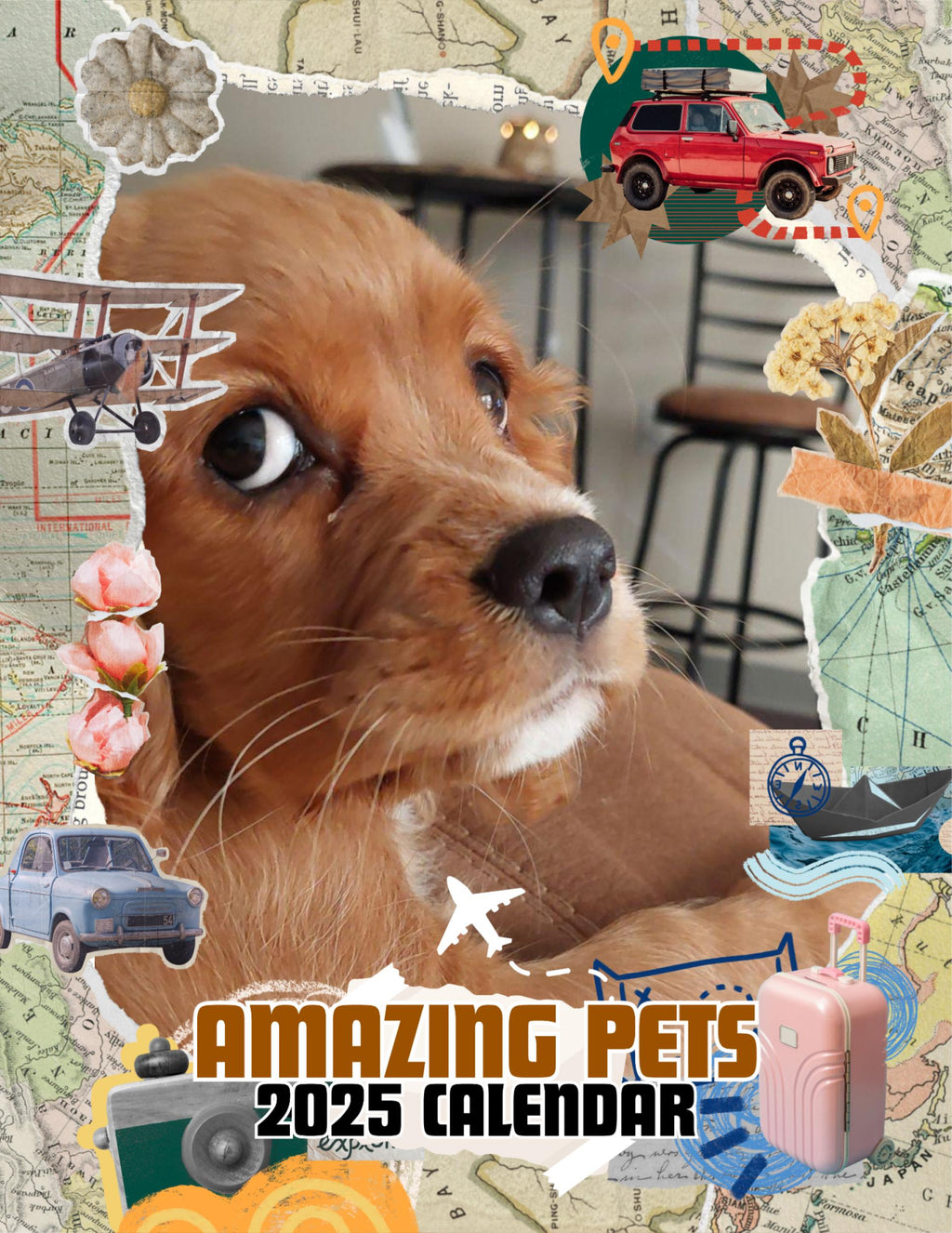 Amazing Pets: 2025 Wall Calendar (Pre-Order)