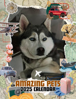 Amazing Pets: 2025 Wall Calendar (Pre-Order)