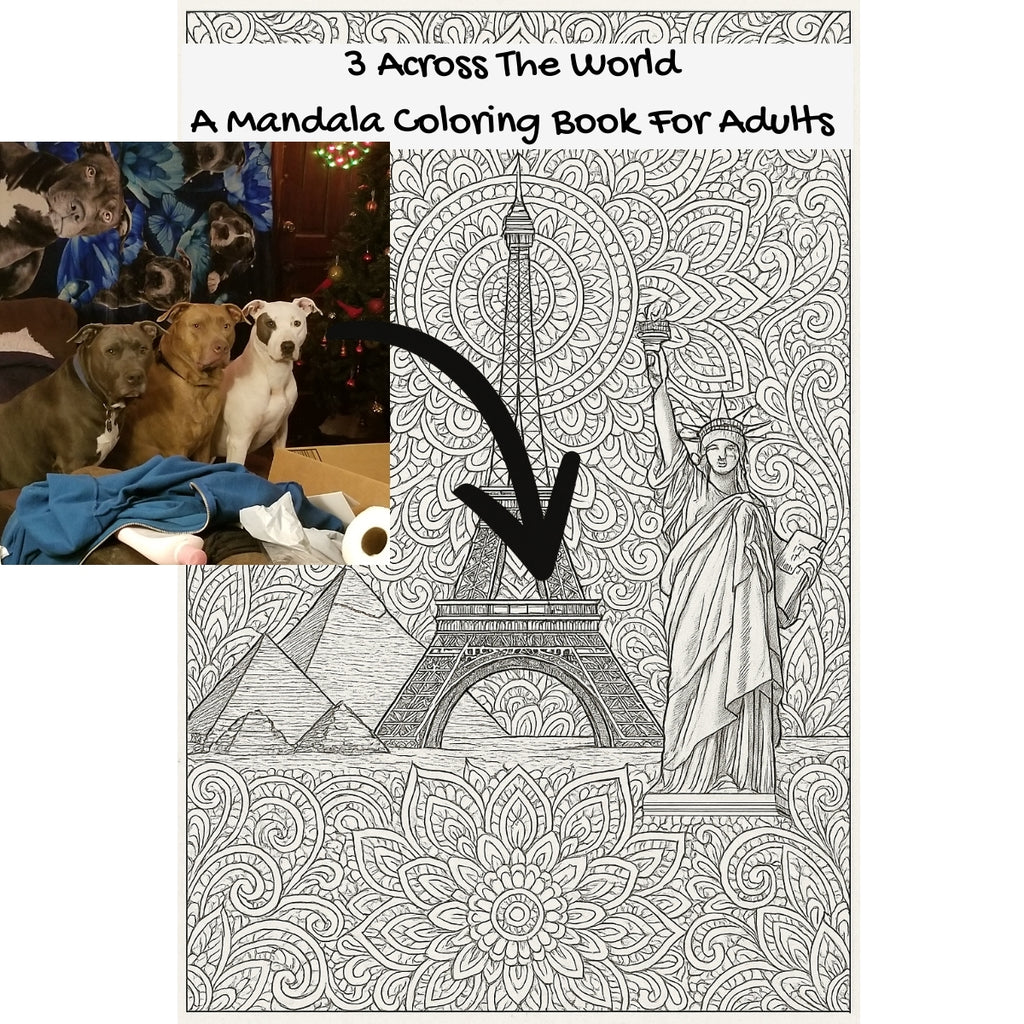 3 Across The World: A Mandala Coloring Book For Adults
