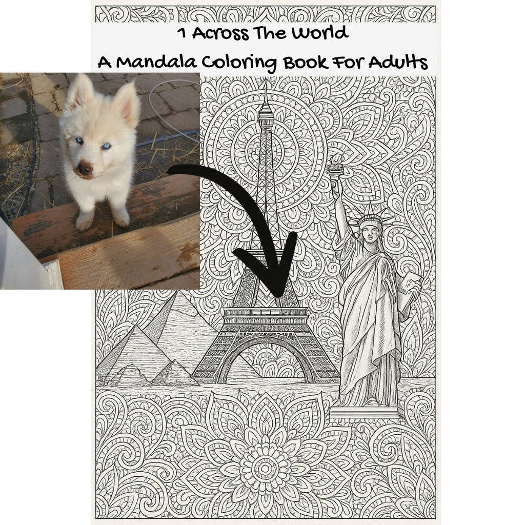 1 Across The World: A Mandala Coloring Book For Adults