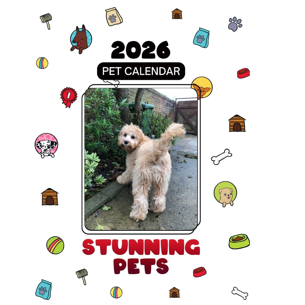 1 Headlines Stunning Pets: A 2026 Pet Calendar