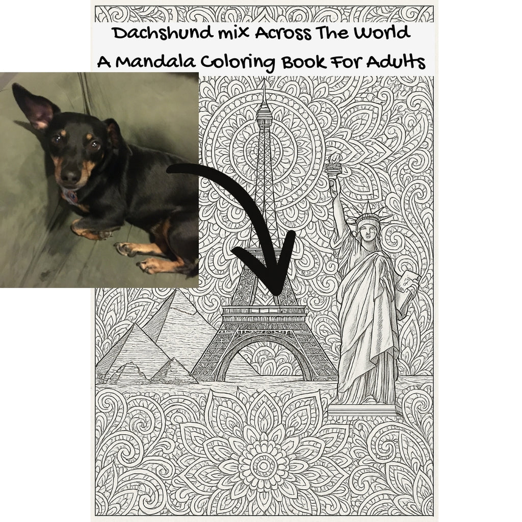 Dachshund mix Across The World: A Mandala Coloring Book For Adults