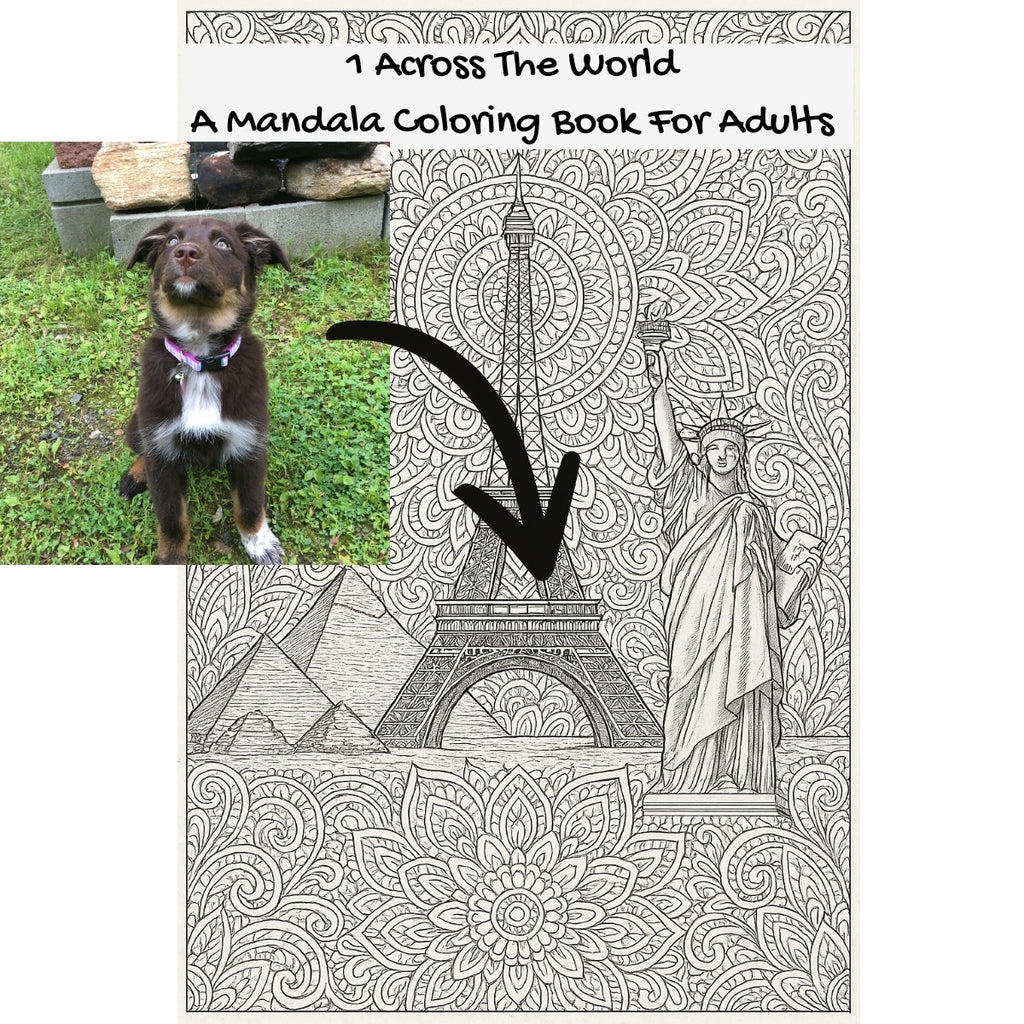 1 Across The World: A Mandala Coloring Book For Adults