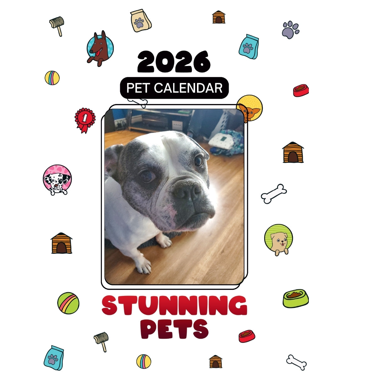 1 Headlines Stunning Pets: A 2026 Pet Calendar