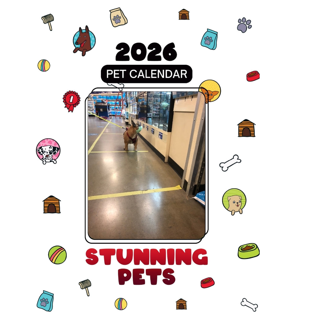 1 Headlines Stunning Pets: A 2026 Pet Calendar