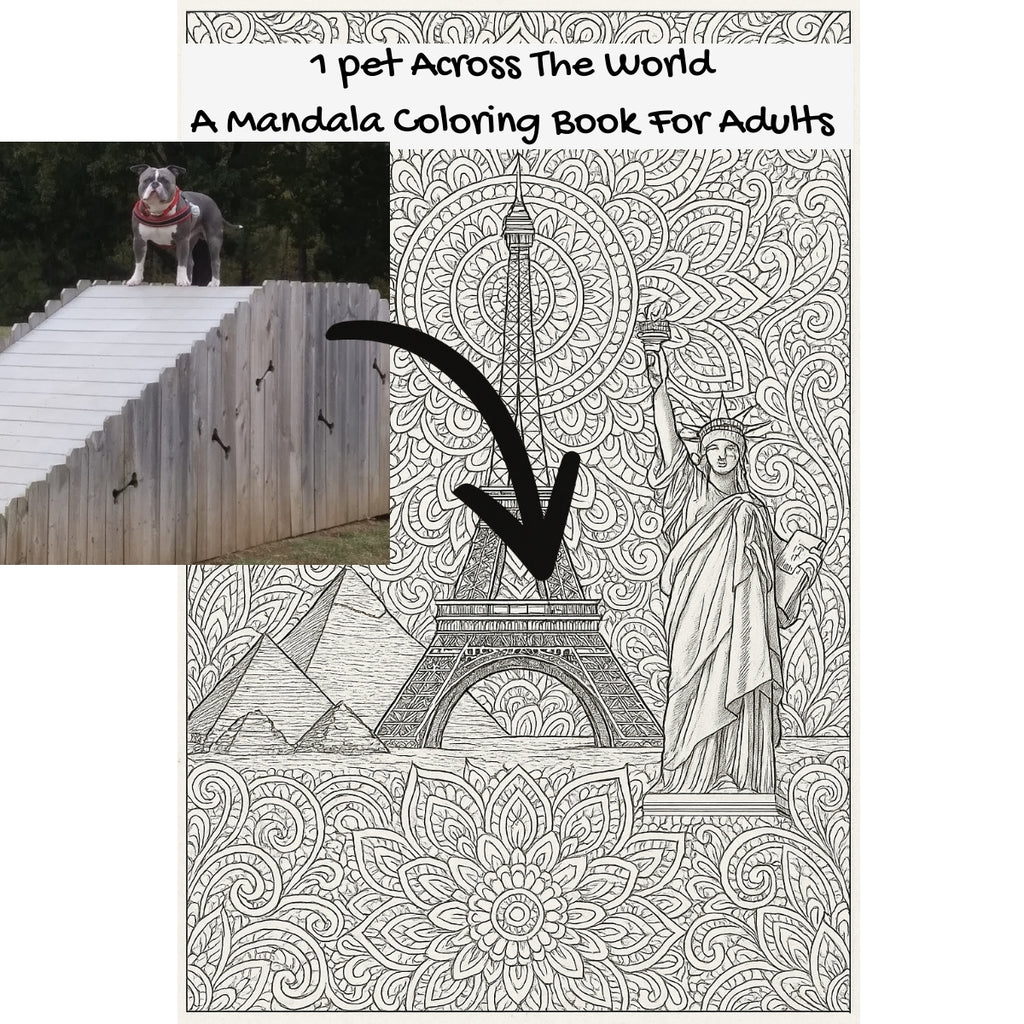 1 pet Across The World: A Mandala Coloring Book For Adults