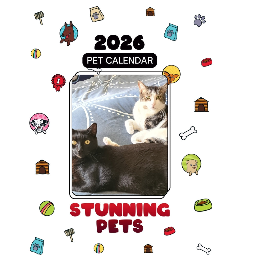 2 cats Headlines Stunning Pets: A 2026 Pet Calendar