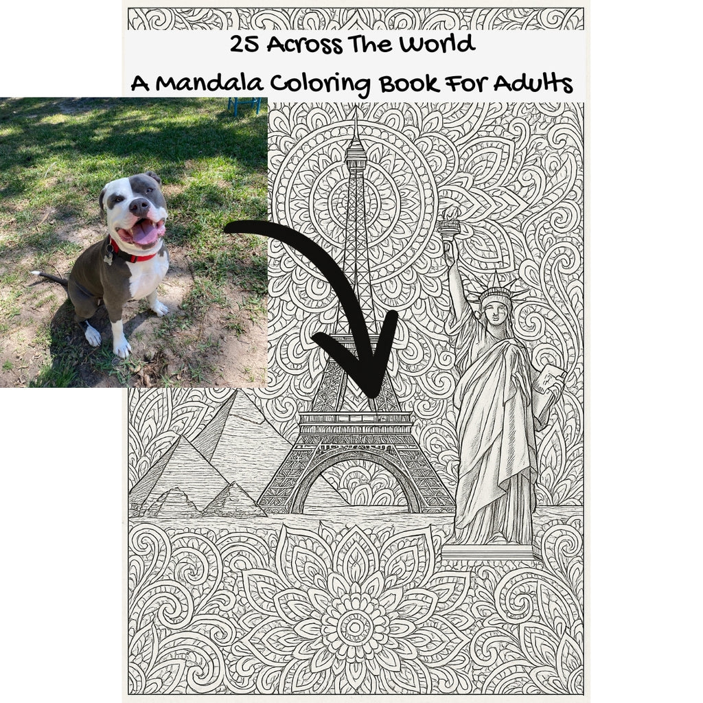 25 Across The World: A Mandala Coloring Book For Adults