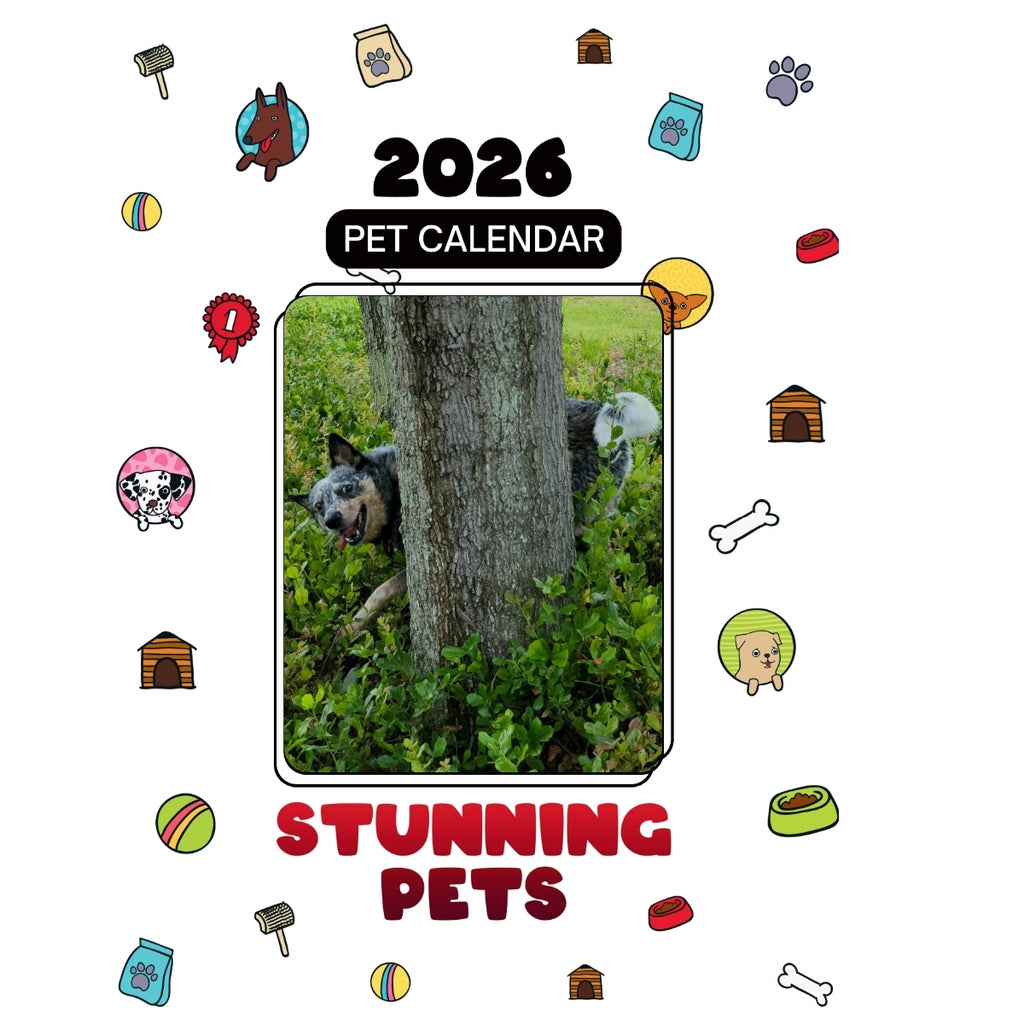 10 Bears Headlines Stunning Pets: A 2026 Pet Calendar