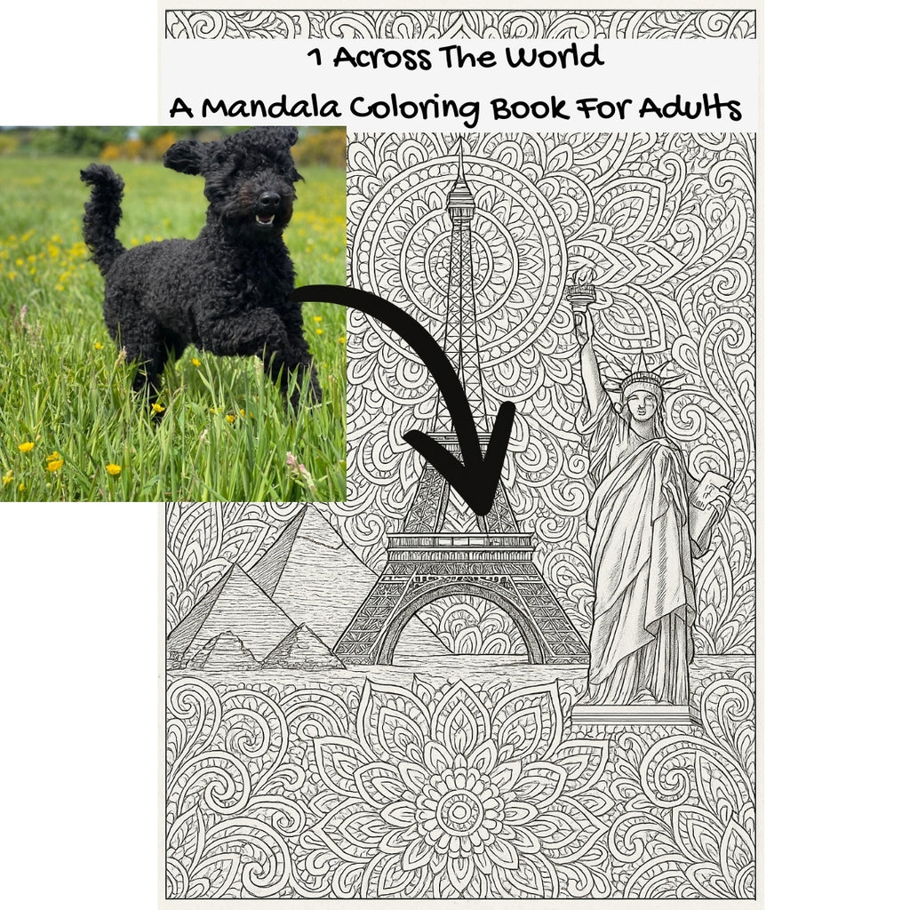 1 Across The World: A Mandala Coloring Book For Adults