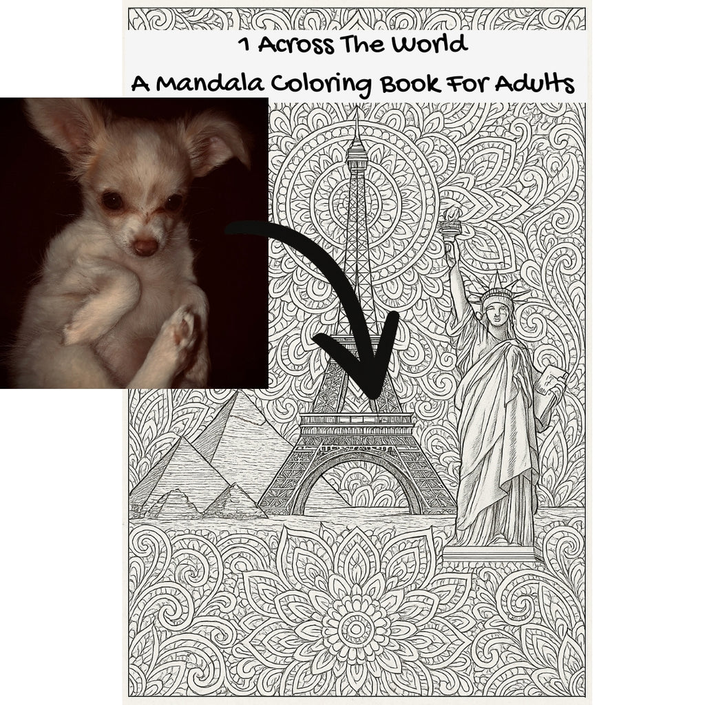 1 Across The World: A Mandala Coloring Book For Adults
