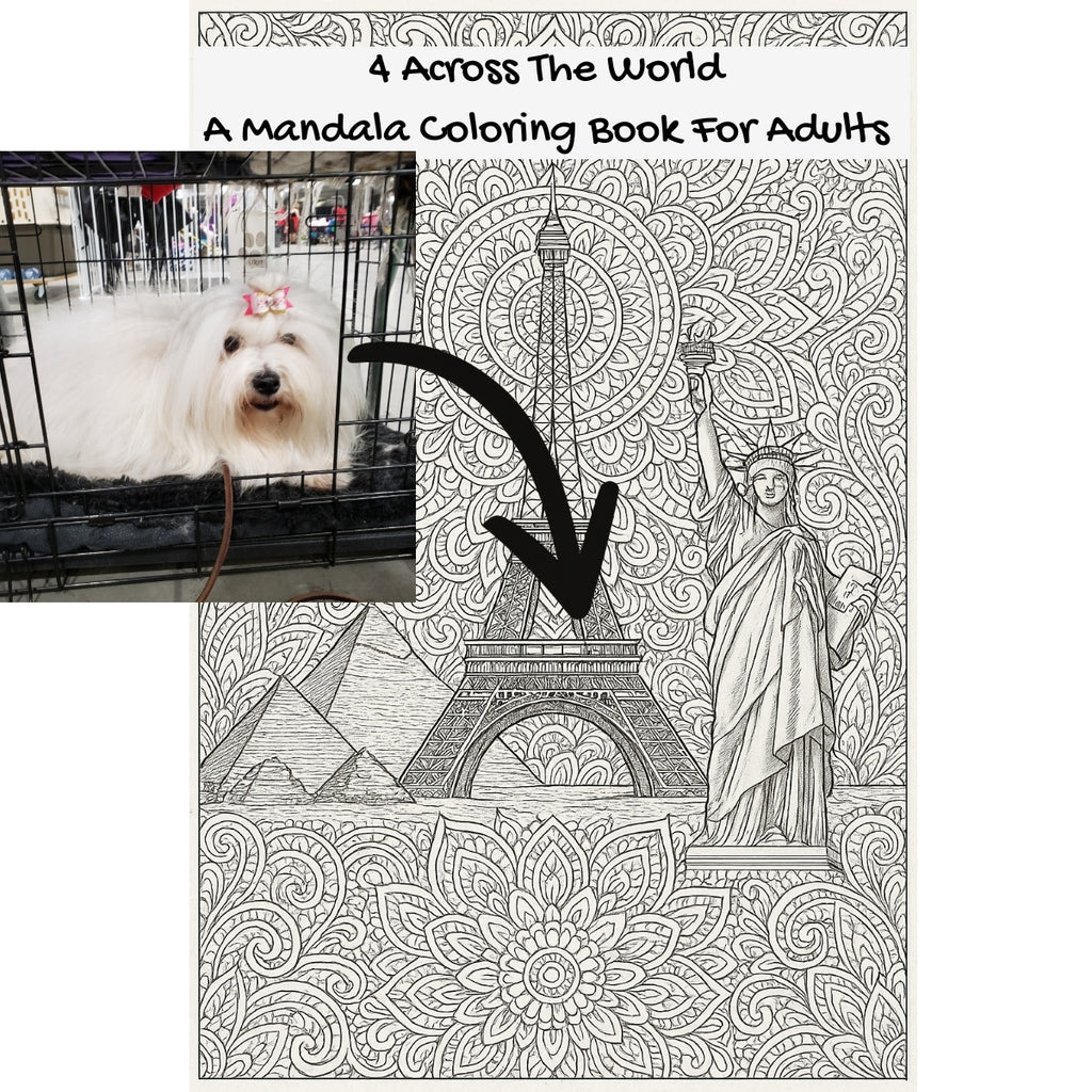 4 Across The World: A Mandala Coloring Book For Adults