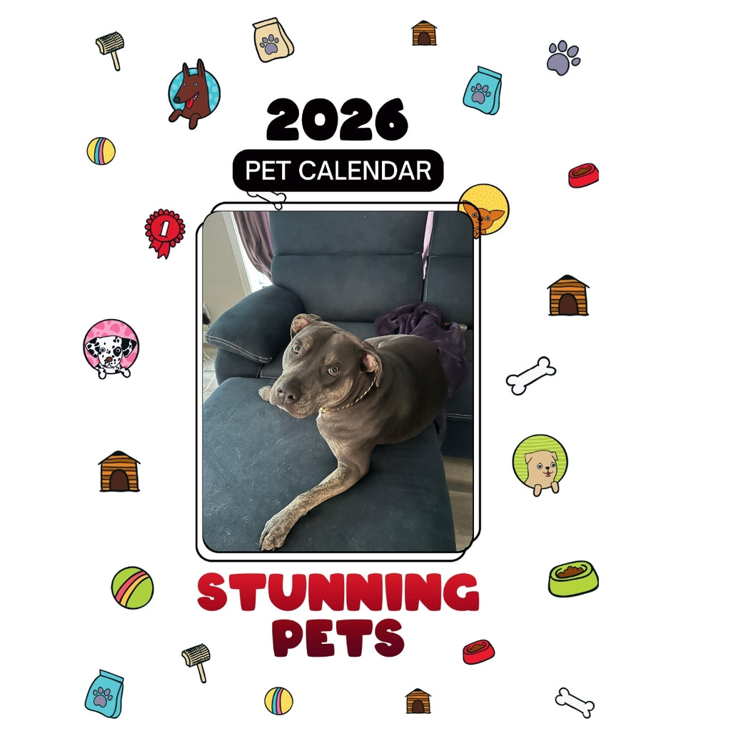 1 Headlines Stunning Pets: A 2026 Pet Calendar
