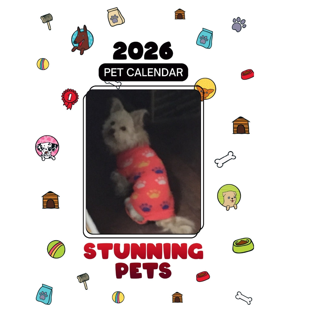 1 Headlines Stunning Pets: A 2026 Pet Calendar