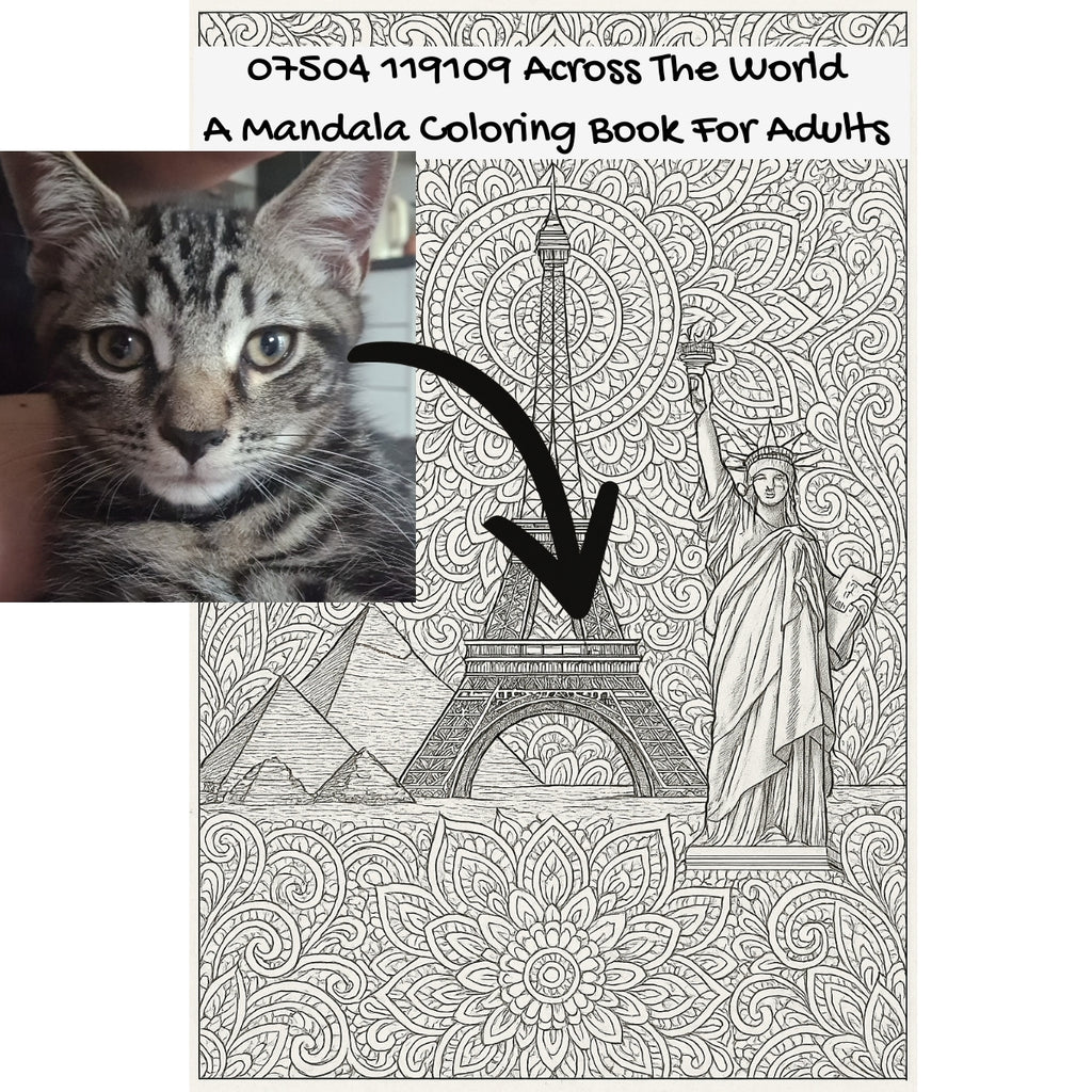 07504 119109 Across The World: A Mandala Coloring Book For Adults
