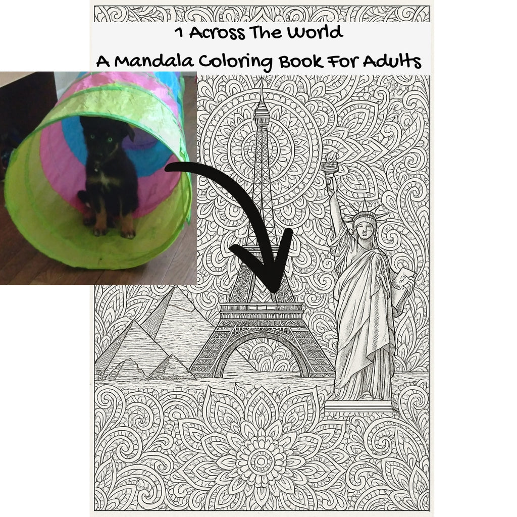 1 Across The World: A Mandala Coloring Book For Adults