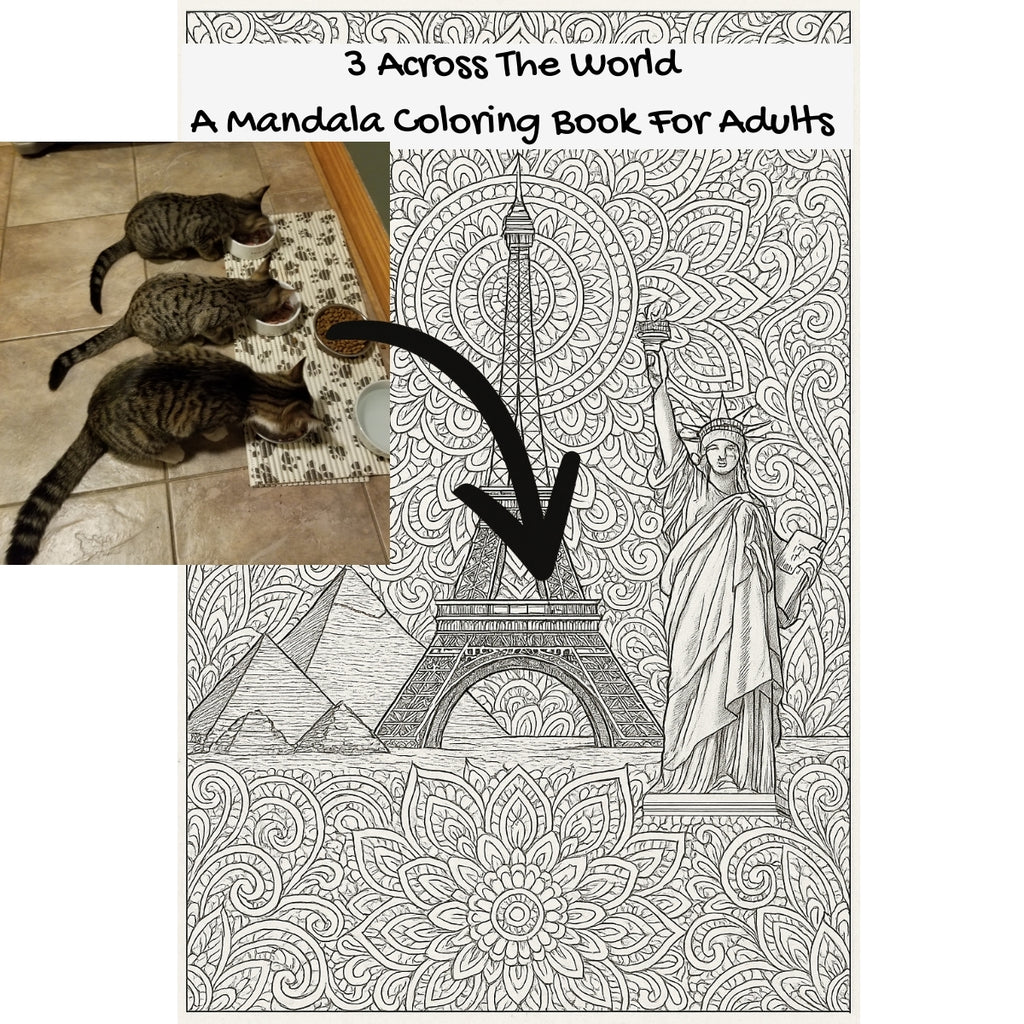 3 Across The World: A Mandala Coloring Book For Adults