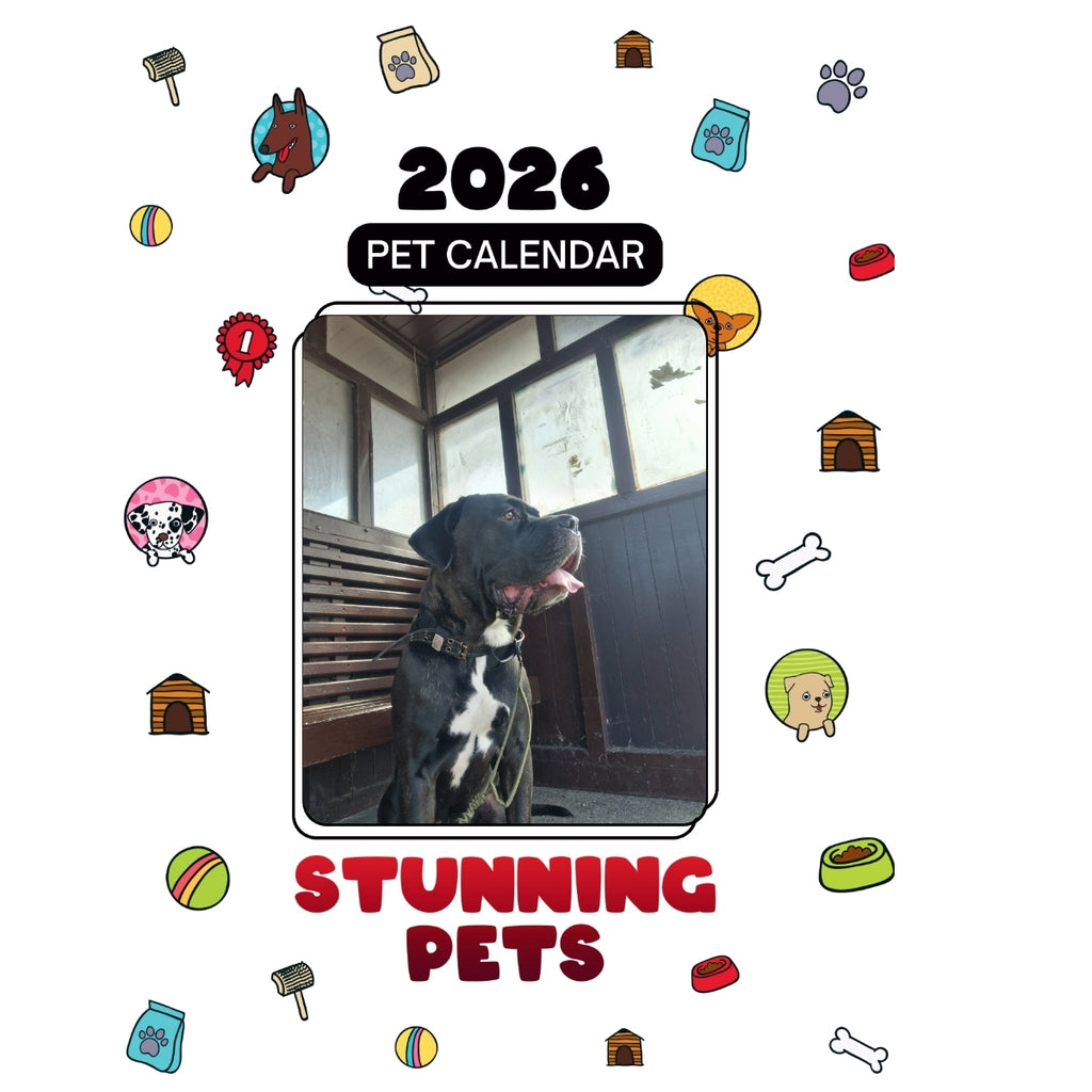 Napoleon Mastiff Headlines Stunning Pets: A 2026 Pet Calendar