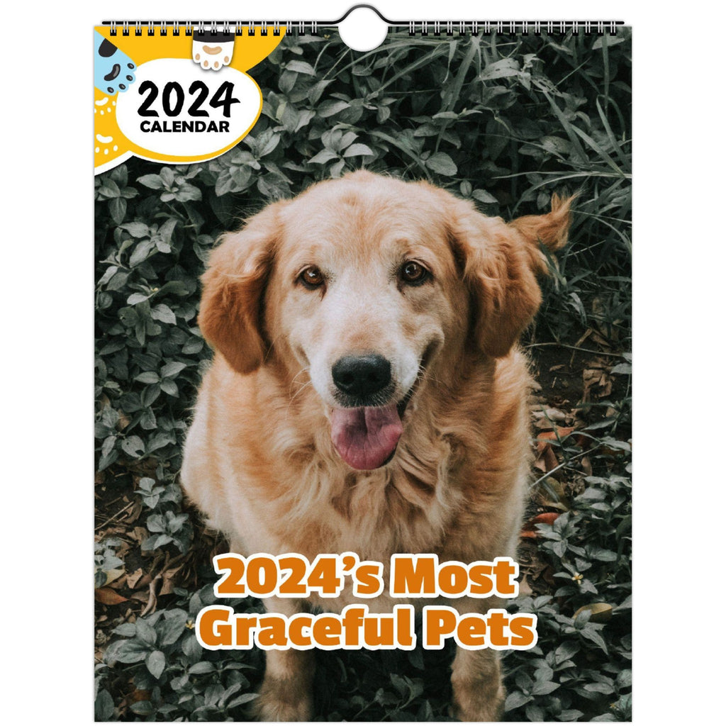 2024's Most Graceful Pets: 2024 Wall Calendar (Published)